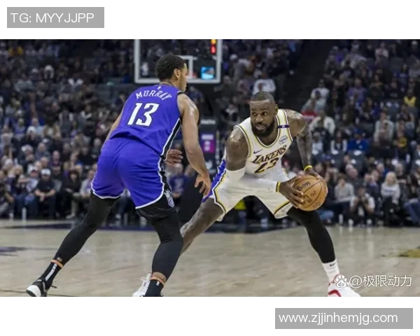 精彩对决NBA国王队与湖人队激战回顾视频尽在此处 精彩对决NBA国王队与湖人队激战回顾视频尽在此处